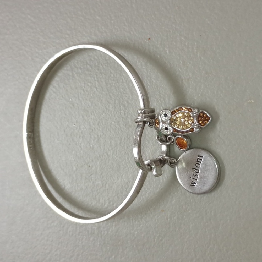 SU CZ Owl Wisdom Charm Bracelet
